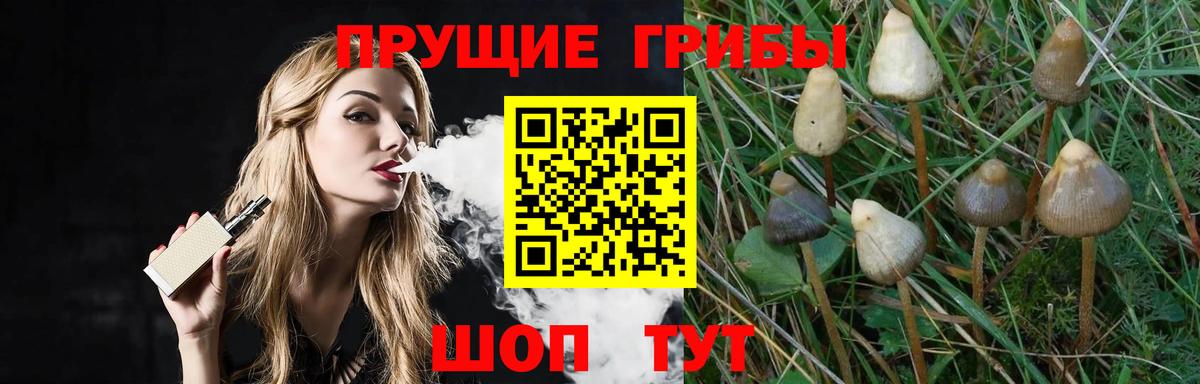 Псилоцибиновые грибы ЛСД  Галлюциногенные грибы Cubensis  Вход с VPN  как найти наркотики  Коряжма 
